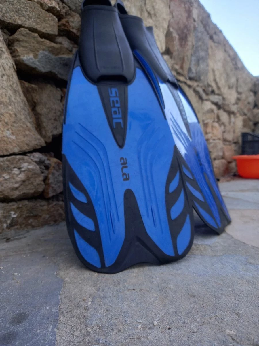 Βατραχοπεδιλα