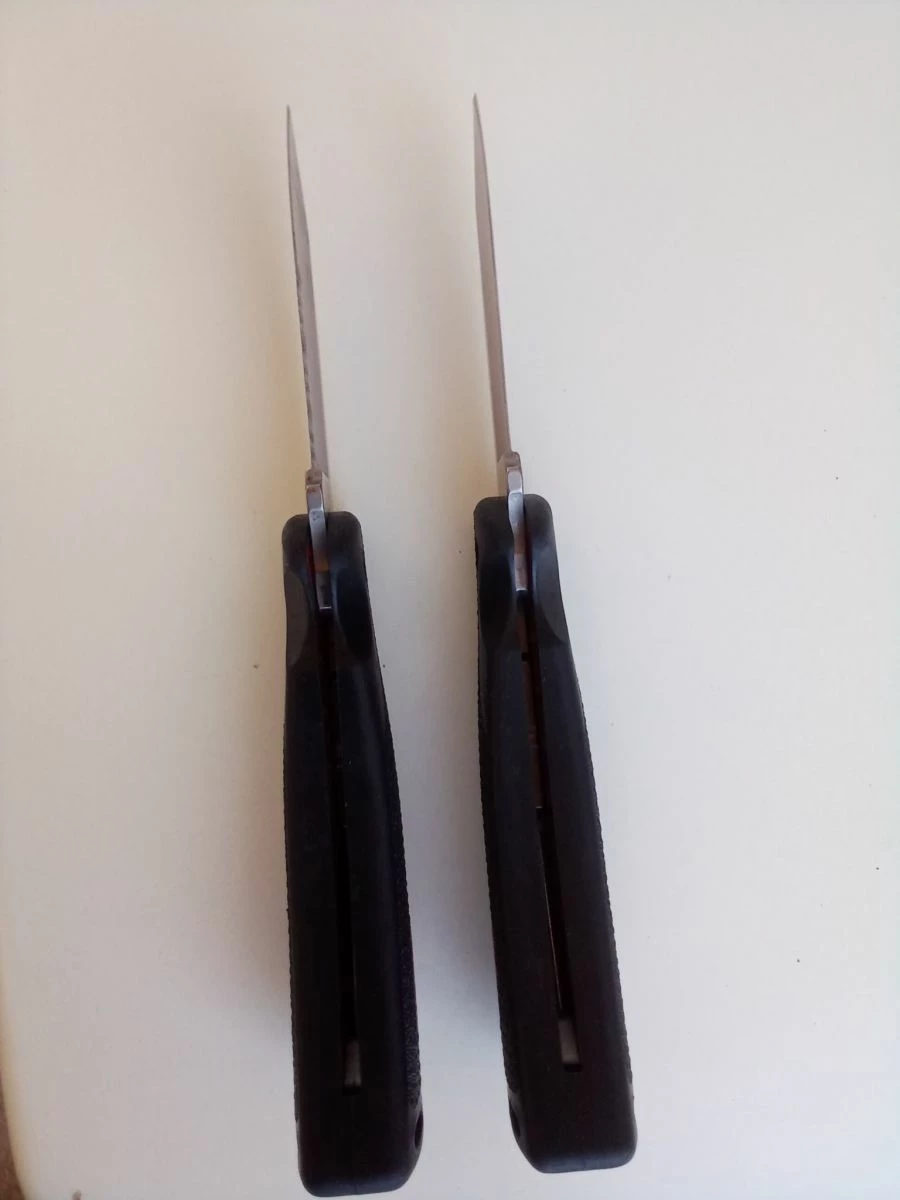 Πτυσσόμενα μαχαίρια Buck 450 - Image 5