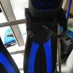 ΒΑΤΡΑΧΟΠΕΔΙΛΑ ΚΑΤΑΔΥΣΗΣ