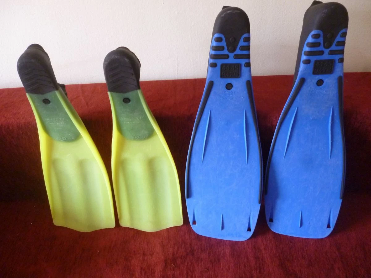 Βατραχοπέδιλα - Image 2