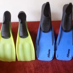 Βατραχοπέδιλα