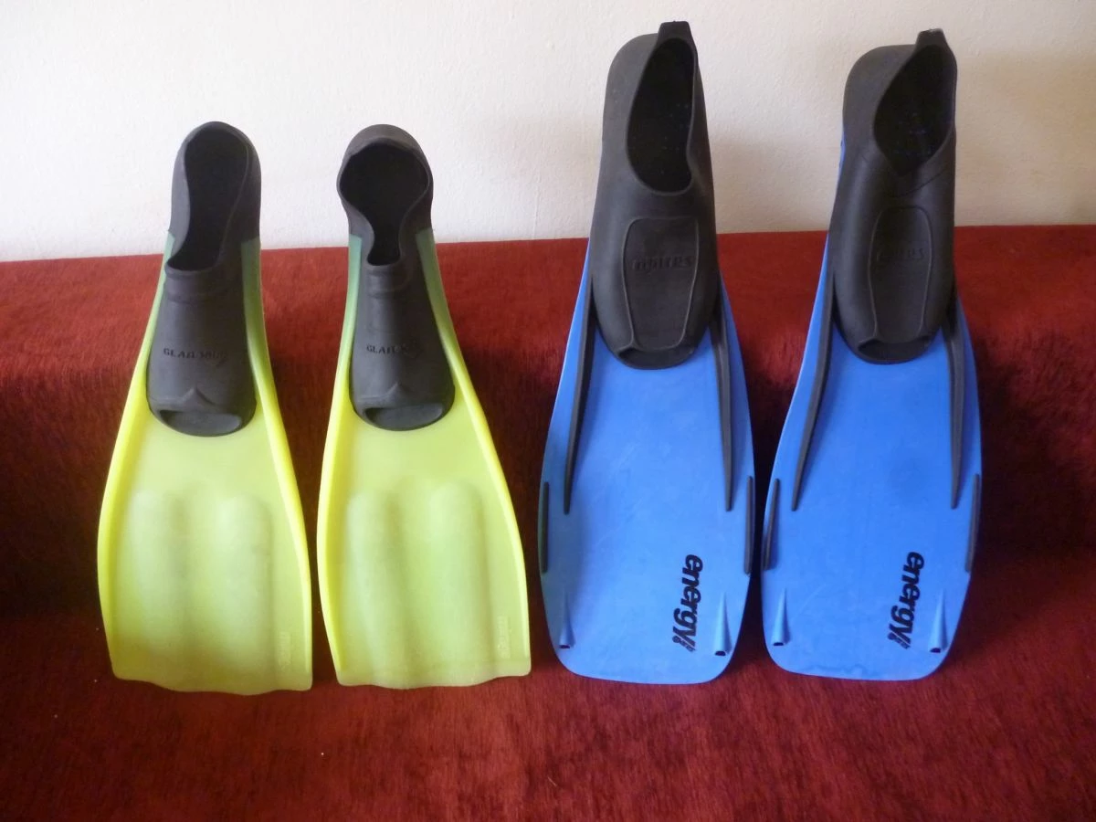 Βατραχοπέδιλα