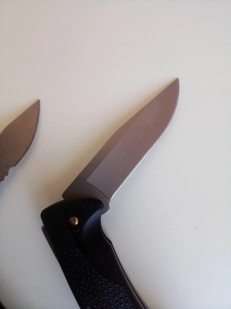 Πτυσσόμενα μαχαίρια Buck 450 - Image 4