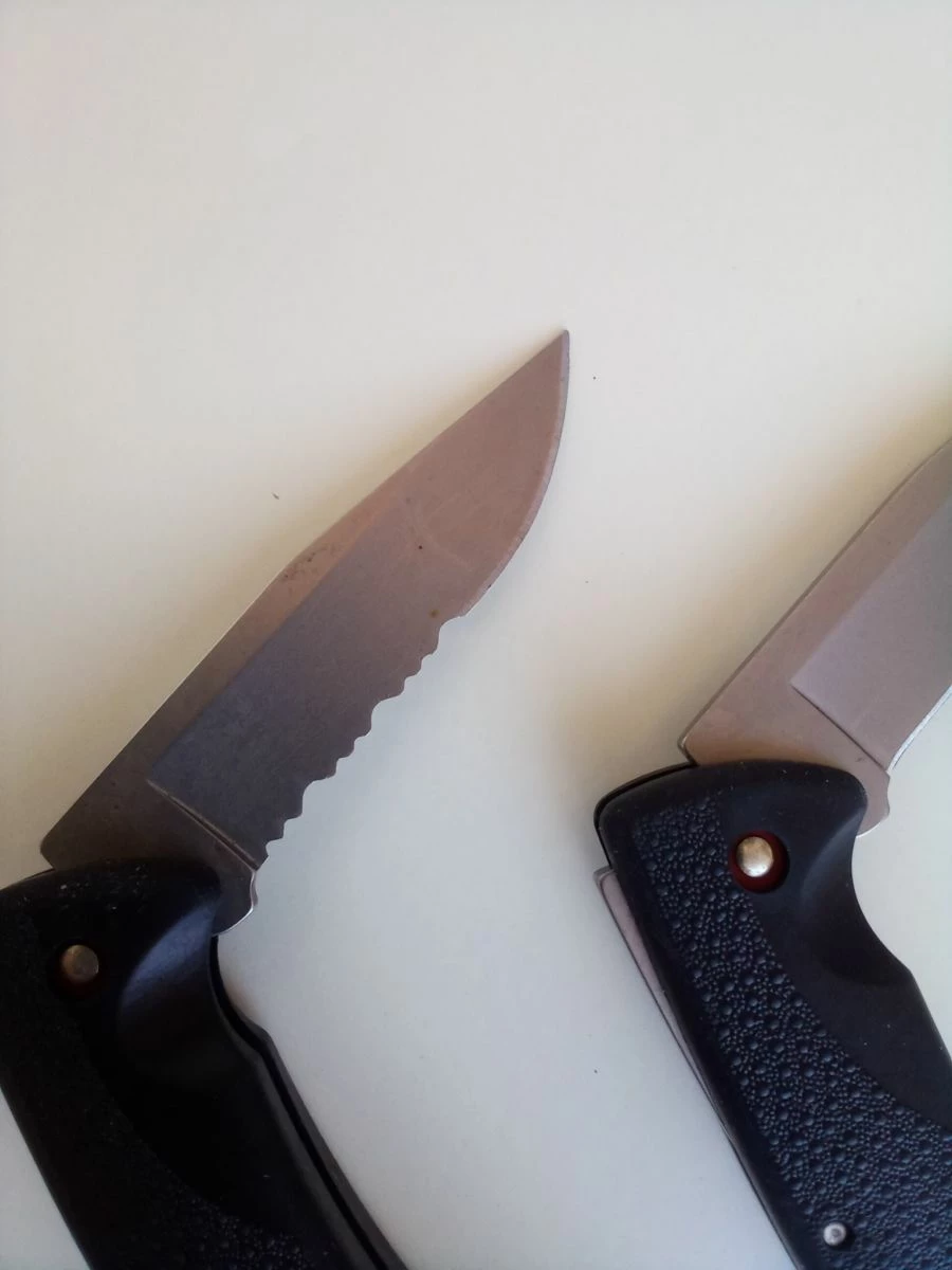 Πτυσσόμενα μαχαίρια Buck 450 - Image 3