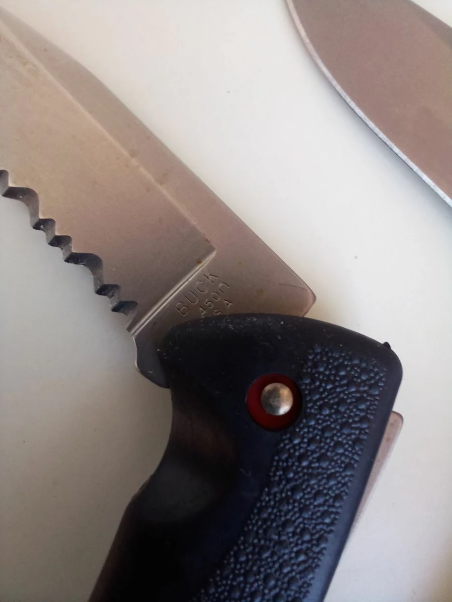 Πτυσσόμενα μαχαίρια Buck 450 - Image 8