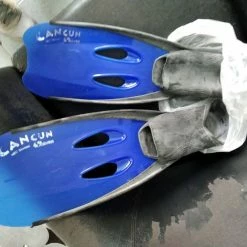 ΒΑΤΡΑΧΟΠΕΔΙΛΑ ΘΑΛΑΣΗΣ